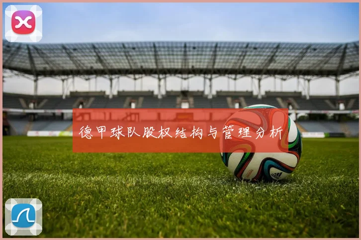 德甲球队股权结构与管理分析