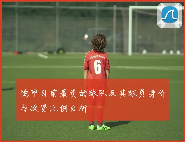 德甲目前最贵的球队及其球员身价与投资比例分析