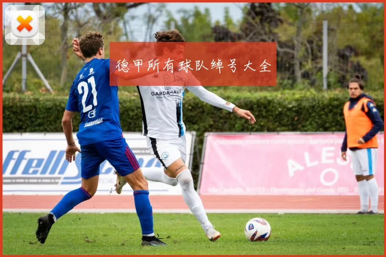 德甲所有球队绰号大全